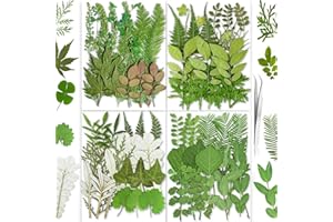 YouthBro 85PCS Real Dried Pressed Leaf Leaves, Green Nature Plant Herbarium Set for DIY Jewelry Candle Soap Vase Making Nail Card Scrapbook Art Craft Floral Decors