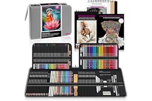 HIFORNY Set di Disegno e Schizzo da 136 Pezzi, Forniture Artistiche Professionali con Matite di Grafite, Carboncino, Colori, Acquerelli, Matite Metallizzate, Strumenti di Sfumatura e Altro(Grigio)