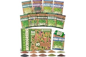 ZENGREENS Semi di germogli bio set da 10 - germogli - facile coltivazione in vaso o vassoio per semi - confezione di prova - 10 varietà diverse - mix di semi di microgreens - set da 10