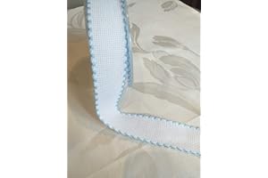 NASTRIFICIO ROSSI SAS Nastro Tela aida punto croce Ortensia (33 mm, azzurro 058)