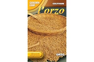 Franchi sementi linea orzo da seme (hordeum vulgare) in confezione goldel line da 100 grammi
