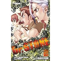 Dr. Stone - Tome 01. Stone World (Dr. Stone (1): Amazon.co.uk