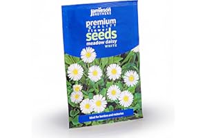 Jamieson Brothers® Daisy Meadow White Flower Seeds (Approx. 370 Seeds) - Grow Beautiful Flowers at Home Or at The Allotment to Attract Pollinators and Add Colour and Fragrance