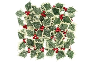 DSLIHA 30pcs Christmas Artificial Holly Berries with Green Leaves, Simulation Holly Berry Green Leaves for Wedding Christmas Wreath Arrangement, Cake Toppers Craft Party Decorations, Artificial Holly Leaves