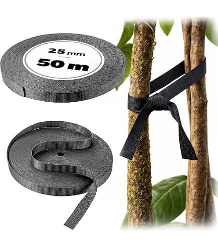 Decoroca Fascette Morbide Per Piante - 2 Pezzi Da 160 Cm - Fili Elastici Rivestiti In Gomma - Verde - Rampicanti, Giardino, Orto