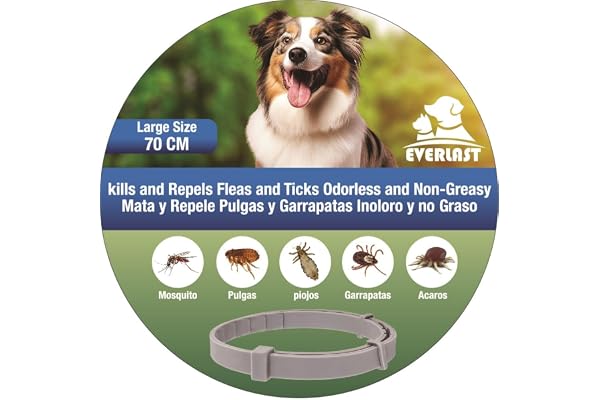 Tempotech ® Collier antiparasitaire Chien et Chat - 8 Mois de Protection - Contre Les puces, tiques, moustiques, acariens et poux - 100% Naturelles (70 cm 1Unité)