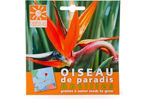Radis et Capucine - Sachets Graines Exotiques À Semer - Graines d'Oiseau Paradis Strelitzia