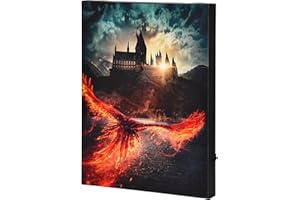 Elbenwald Harry Potter Wandbild mit Licht Phönix über Hogwarts aus Dumbledores Geheimnisse Design batteriebetrieben 30 x 40 x 3,8 cm