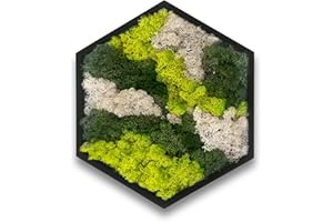 comforder Hexagon Wandbild mit echtem Moos (ø38 cm), Konserviertes Moosbild mit Holzrahmen, Natur Wanddeko fürs Wohnzimmer