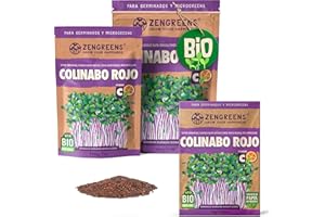 ZenGreens® - Semillas de colirrábano rojo ecológico - Elija entre 10g, 200g y 500g - brotes de colirrábano rojo - germinación de más del 97% - Microgreens