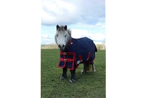 Gallop Trojan 600d Standard Neck 50g Turnout Rug