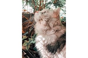 Girafus Katze Hund pro-Track-Tor Tracker Peilsender Ortung und Sucher//Mini RF-Tracker (8g mit Batterie) ideal für Katzen Haustiere Hunde//Ortung in Räumen möglich - 2 Sender (für 2 Haustiere)