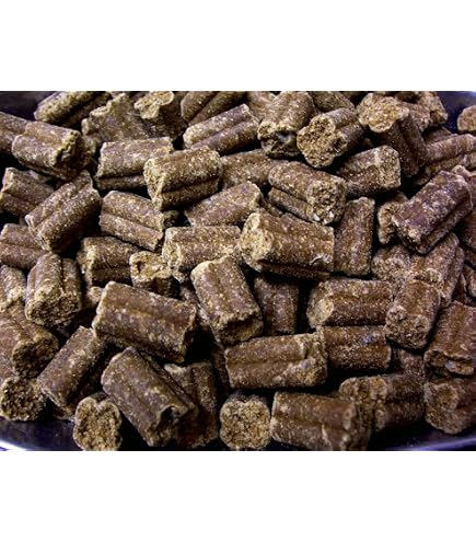Vollmer's Hundefutter Fisch & Reis 15 Kg – Leicht Verdaulich Für Sensible Hunde Mit Empfindlichem Magen