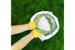 F&G SUPPLIES New this year - 20kg sack of Proctors Autumn & Winter Lawn Feed with iron to kill moss - 571 sq m coverage