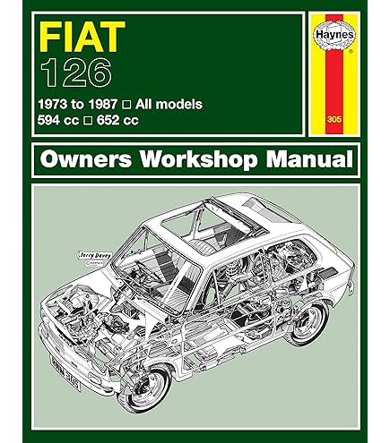 Haynes Fiat 500 & Panda (04 - 12) Repair Manual (Paperback
