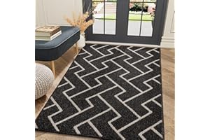 ‎BISCPRO Biscpro Fußmatte mat,schmutzfangmatte innen 90x150cm rutschfest Fußmatten, Teppich Waschbar in Waschmaschine Innen & Außen türmatte,für Eingangsbereich,Aussenbereich,Fussmatten Haustür