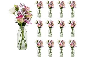 ‎CASAVETRO casavetro 12 x Glasfläschchen im Landhausstil Flasche Vase Tischvasen Glasflaschen Dekoflaschen Väschen Vasen Glasvasen (12 x 250 ml-Milch OK)
