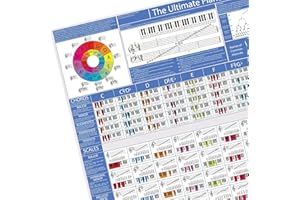 BIRDS PIANO ACADEMY The Ultimate Piano Poster - Piano Chords, Scales & Music Theory Chart | Learn Piano & Keyboard | Piano Practise Aid (A1 Size Rolled)