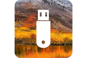 D-S Systems Clé d’Installation Compatible avec macOS 10.13 High Sierra USB OS X (Clé) d'installation Amorçable Récupération Bootable - Installation/Update/Downgrade