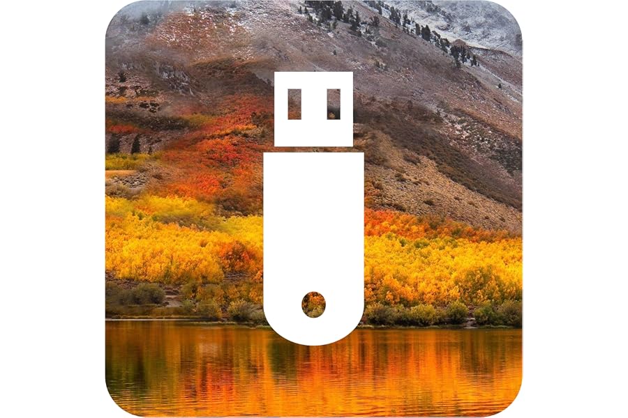 D-S Systems Clé d’Installation Compatible avec macOS 10.13 High Sierra USB OS X (Clé) d'installation Amorçable Récupération B