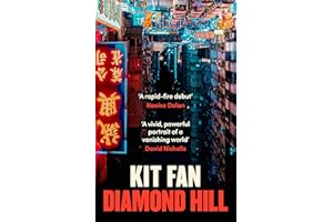 Diamond Hill: Totally unputdownable and evocative literary fiction