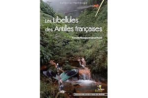 Les libellules des Antilles françaises: Ecologie, biologie, biogéographie et identification