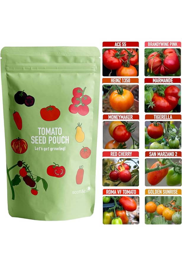 Details 84+ tomorite grow bags super hot in.cdgdbentre