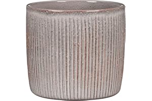 ‎SCHEURICH Scheurich Solido Linea, Blumentopf aus Keramik, Farbe: Seashell, 15 cm Durchmesser, 13,7 cm hoch, 1,9 l Vol.