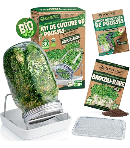 Green SEEDS Set di vasetti di germogli da 2 x 1000ml con coperchio a griglia in acciaio inox di alta qualità, supporto + Germogli ABC GRATUITI [E-Book