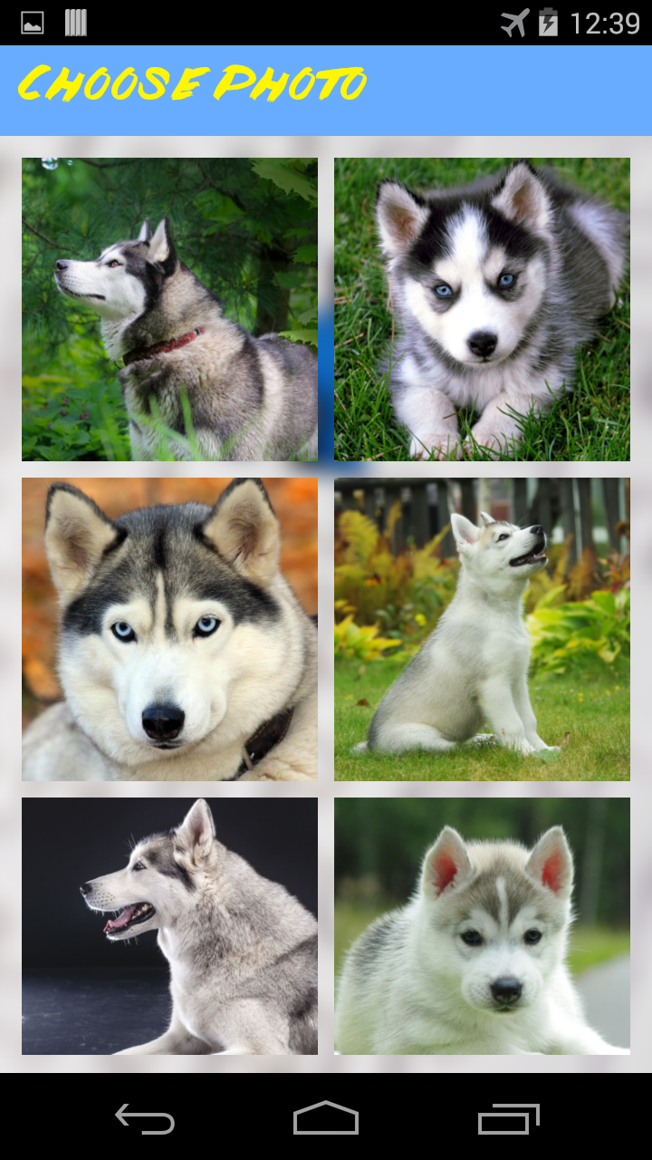 Husky Jigsaw Puzzle Amazon.co.uk Appstore for Android
