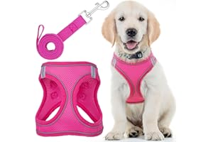 Imbracatura per cani + guinzaglio - Piccolo, rosa - Imbracatura per animali imbottita + design anti-trazione + strisce riflettenti per cani di piccola taglia - by EcoEarth