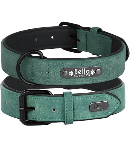 Didog Personalisiertes Hundehalsband Aus Geflochtenem Leder – Mit Gravur, Größe M (30–37 Cm)