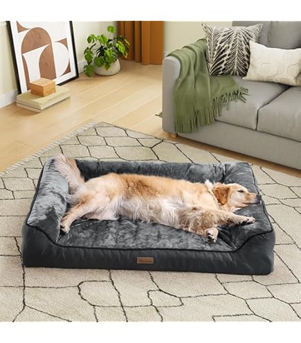 Amazon Camas Para Perros Machos Camas Para Perros Portátiles Cama