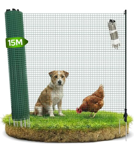 Quelles jumelles choisir pour les enfants ? - Ligue Royale Belge pour la Protection des Oiseaux