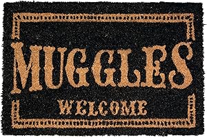 SD TOYS - Felpudo Entrada Harry Potter, Fibra de Coco, Antideslizante, Negro, 60 x 40 cm