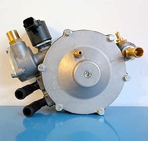 le coq sportif gasquet