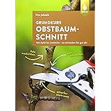 Grundkurs Obstbaumschnitt: Von Apfel bis Zwetsche - so schneiden Sie gut ab