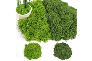 OFFCUP 200G Musgo Artificial, Espuma Artificial Decorativa para Bricolaje Presentación de Mesa Arreglos Florales Jardín de Hadas y Decoración de Bodas (Verde Oscuro 100G + Verde Claro 100G)