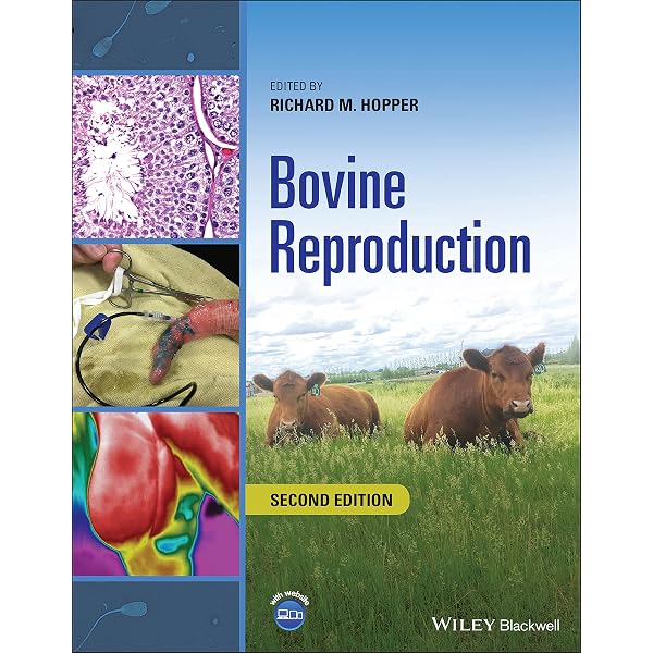 Buy BSAVA Manual of Canine and Feline Reproduction and Neonatology