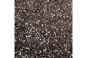 BHOMESCENT Premium Houseplant Potting Mix with activated Biochar, potting soil for indoor plants (2L)