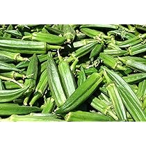 20 Semi Di Gombo (Okra) - Abelmoschus Esculentus, Verdure Facili Da Coltivare - Foto 10