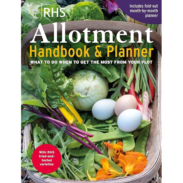 Joe's Allotment: Planning and planting a productive plot by