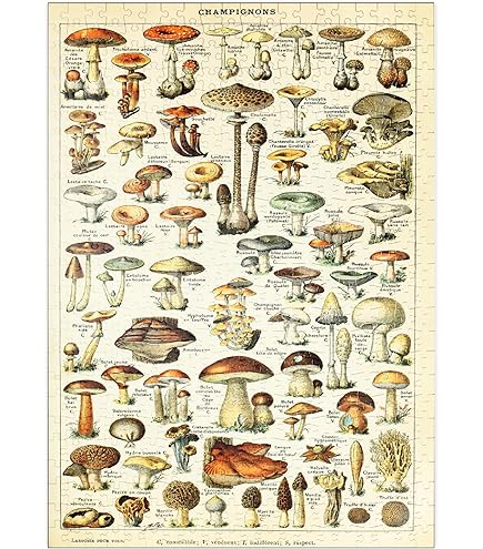Puzzle Wildflowers - Cavallini - 1000 pièces - Puzzles E-shop