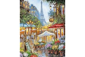 YALKIN Paint by Numbers for Adults, Painting by Number Kits On Canvas,Without Frame DIY Color Oil Painting Acrylic Paints,Home Wall Decor 40x50CM/16X20in