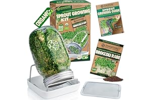 zengreens® Organic sprout jar set incl. sprout seeds, sprout tray & video course - set of 1, 2 or 3 - sprout jar set - sprout glass - sprout tray - cress tray - microgreens (Set of 1)