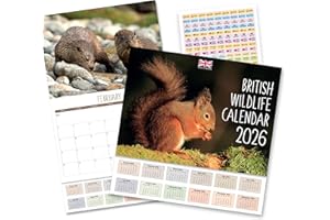 2026 Calendar - Calendar 2026 UK British Wildlife. One Month to View. A3 when open. Wall Calendar by Absolutely Yours.