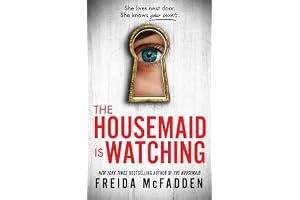 Housemaid Is Watching