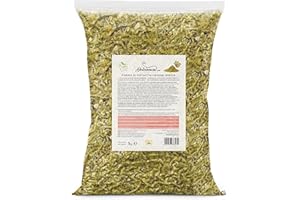 Dolcincasa.com Harina de Pistacho Pistacho triturado en polvo para uso doméstico o profesional Sin Gluten