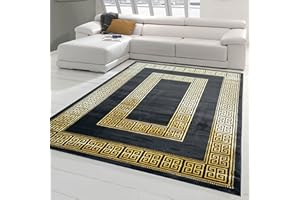 TEPPICH-TRAUM Dywan-Traum klasyczny dywan do sypialni w eleganckim designie z bordiurą, kolor czarno-złoty, 120 x 170 cm