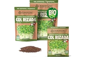 ZenGreens® - Semillas de berza ecológico - Elija entre 10g, 200g y 500g - brotes de berza - germinación de más del 97% - Microgreens